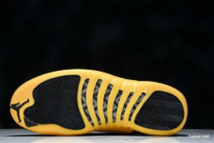 Hyperoad “UNIVERSITY JORDAN AIR 12 GOLD” 0924